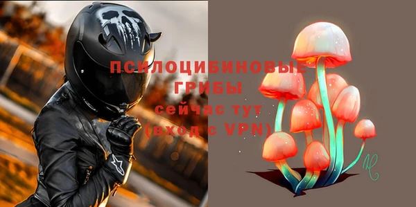 дмт Аксай