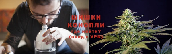 трава Мурманск