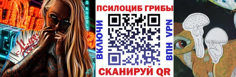 где можно купить наркотик  Махачкала  darknet телеграм  Псилоцибиновые грибы прущие грибы 