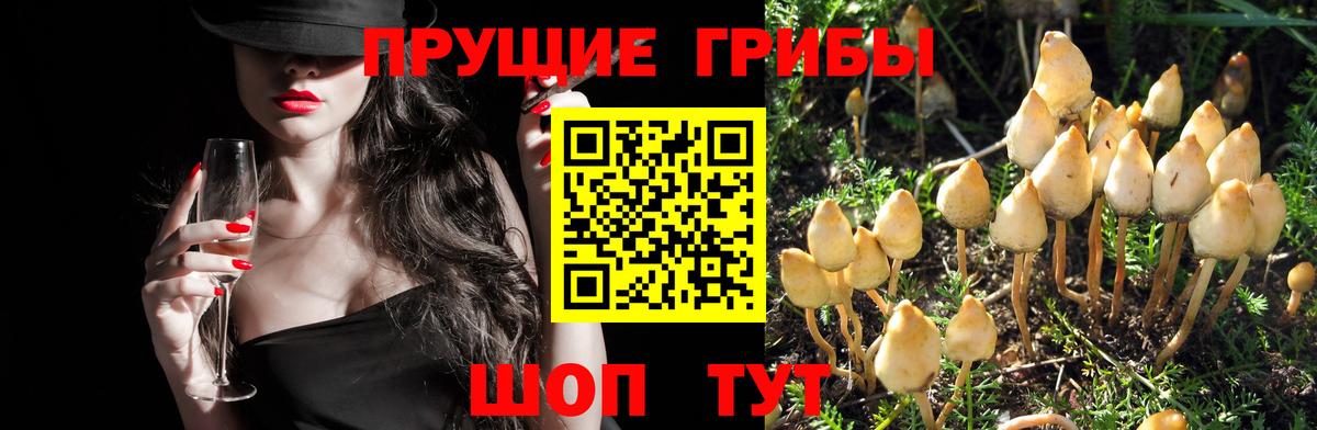 Псилоцибиновые грибы мицелий  Галлюциногенные грибы прущие грибы  Махачкала  Вход с VPN 